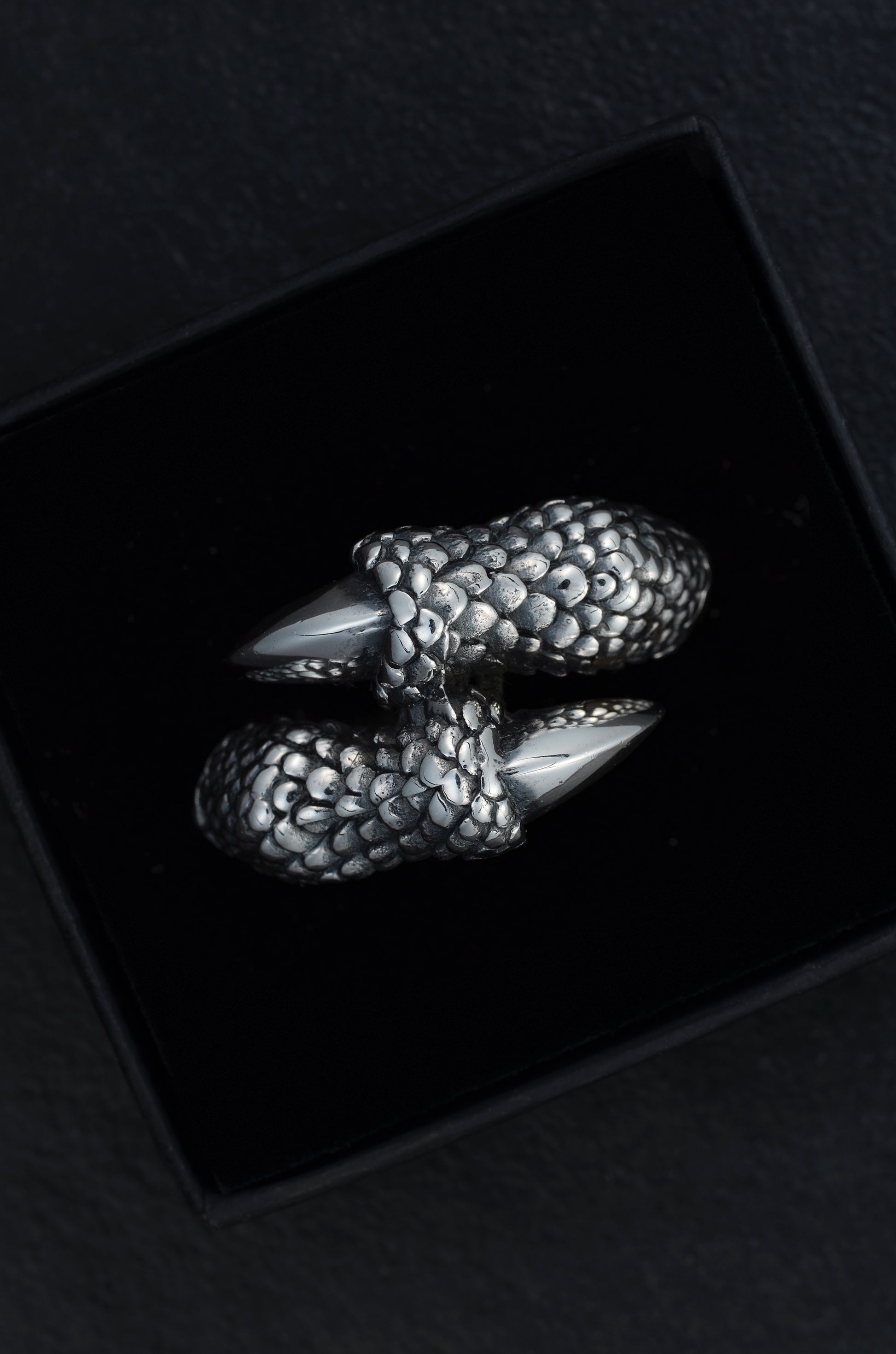 Dragon Claw