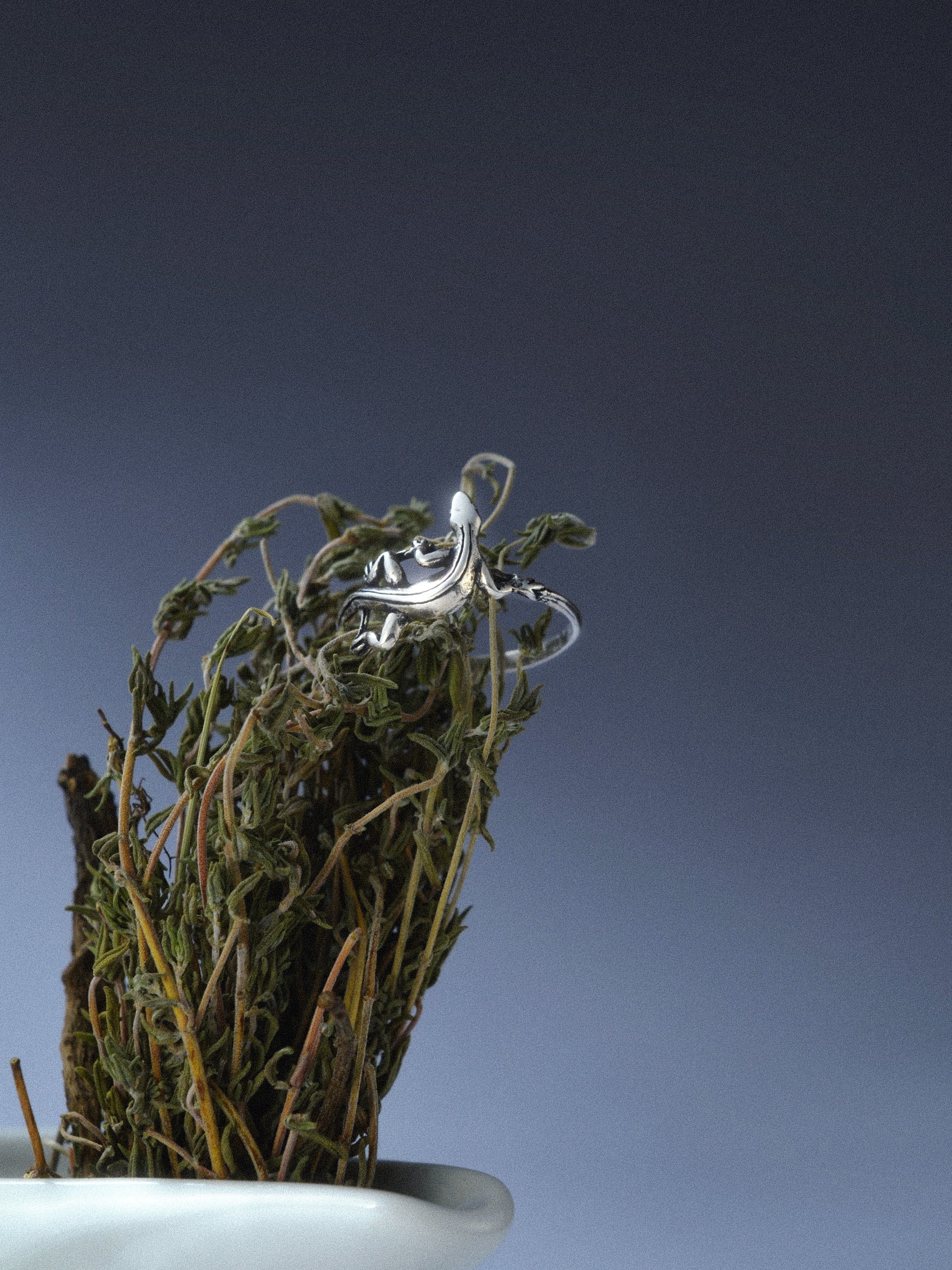 Ring „Loce-Corma“