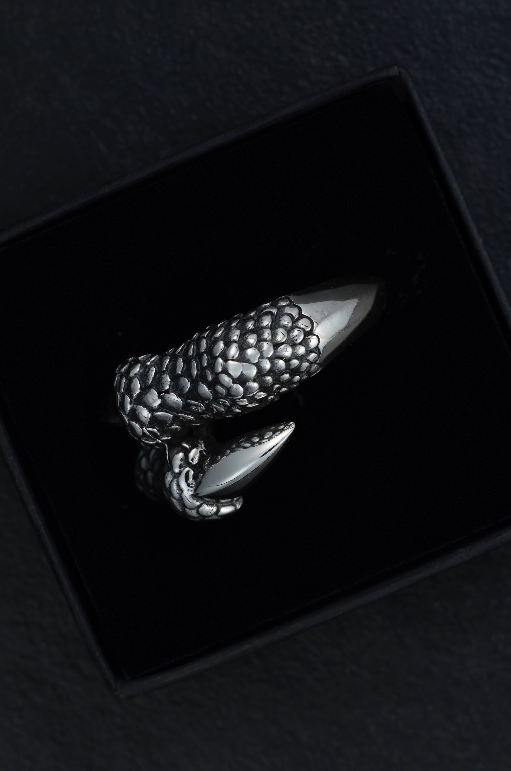 Dragon Claw