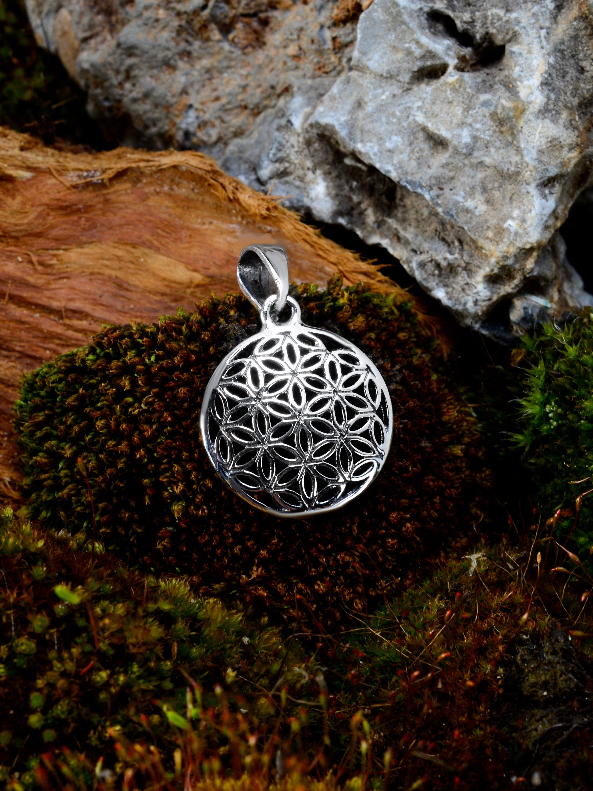 Noctain Lebensblume 925 Sterling Silber Anhänger für Halsketten als Symbol Bedeutung Geschenk für Herren Damen Paare Verbindung Liebe Wachstum Naturbild 