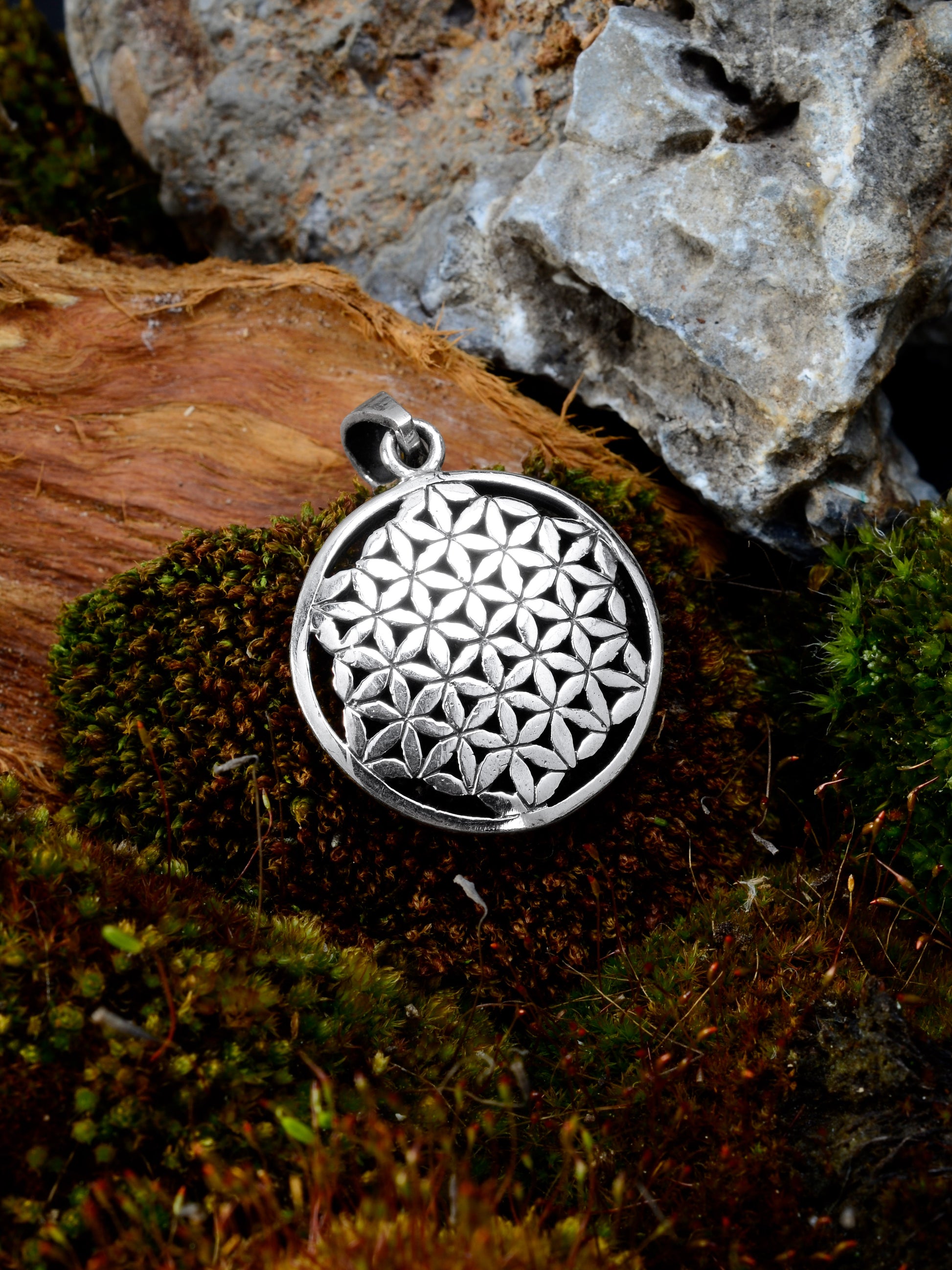 Noctain Lebensblume 925 Sterling Silber Anhänger für Halsketten als Symbol Bedeutung Geschenk für Herren Damen Paare Verbindung Liebe Wachstum Natur 