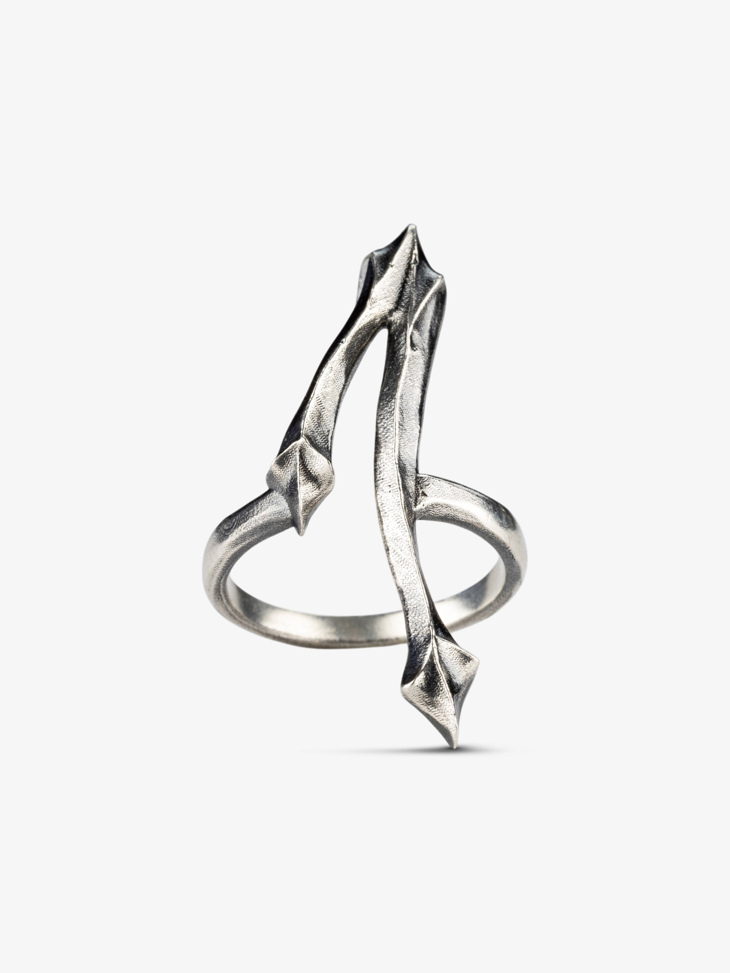 1 Ring - Sebamakes