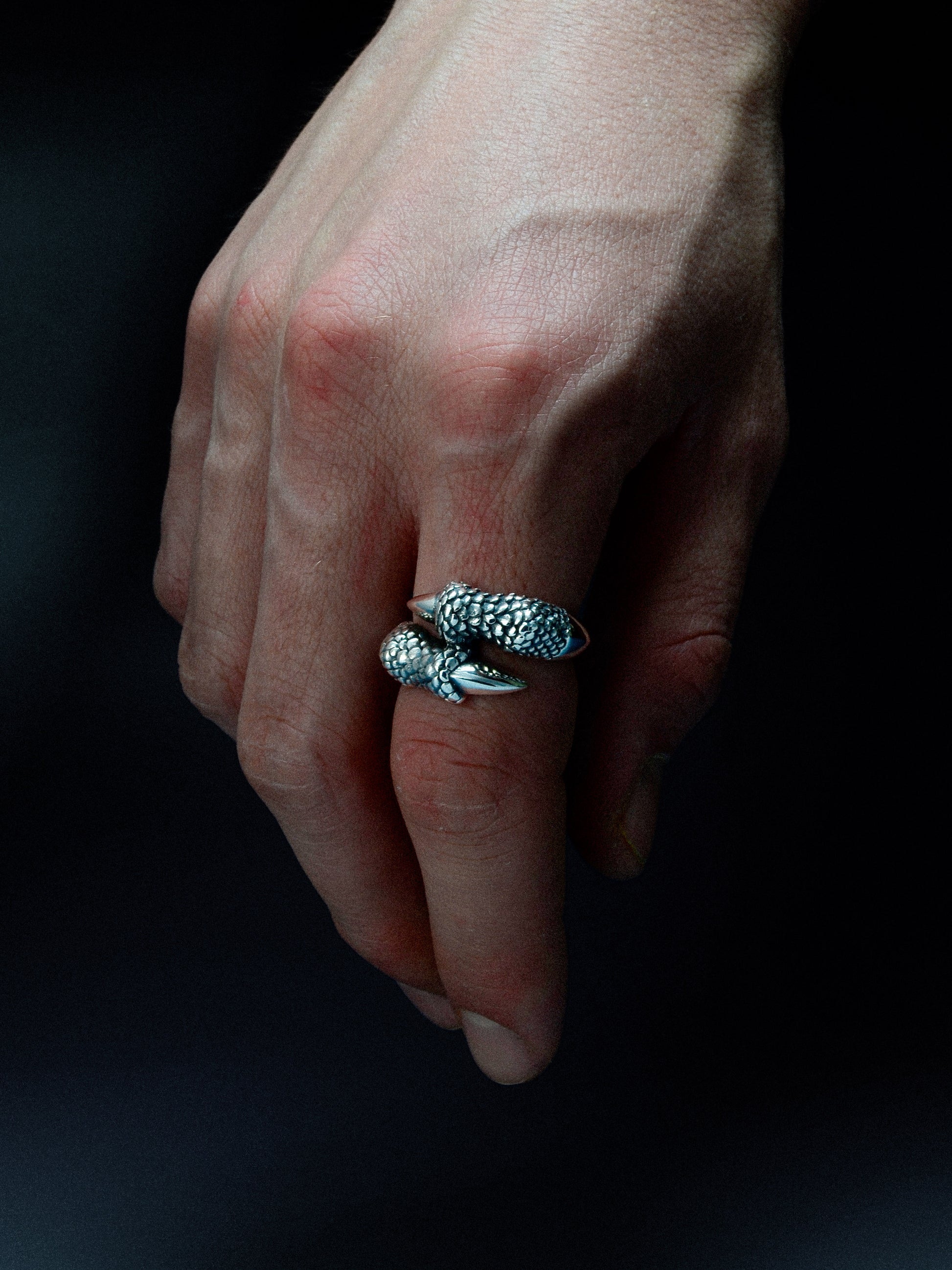 Ring Drachenkralle „Dragonclasp“